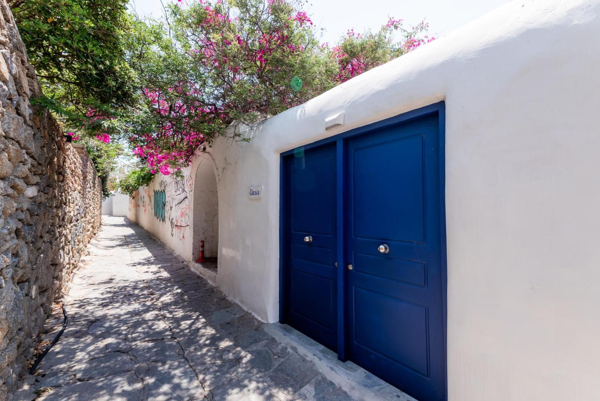 Olive Tree & Capari Mykonos Town Homes & Apartments With Pool! Εξωτερικό φωτογραφία