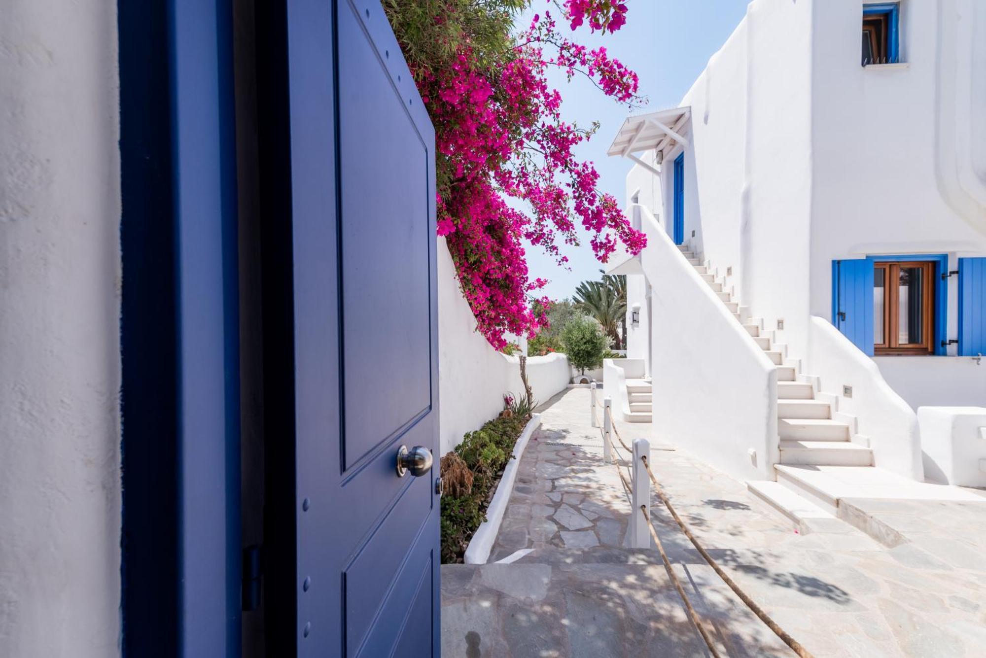 Olive Tree & Capari Mykonos Town Homes & Apartments With Pool! Εξωτερικό φωτογραφία